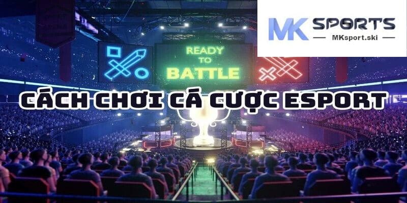 Thao tác đặt cược tại sảnh Esports của nhà cái MK Sport