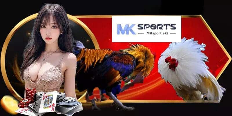 Thông tin sơ bộ về sảnh game đá gà kich tính MK Sport